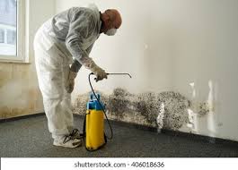 Mold Documentation for Insurance Claims in Murphy, NC